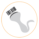 Barcode Scanning Makes Inventory Easy