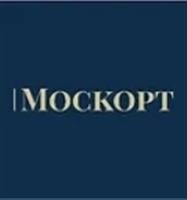 MOCK OPT Logo